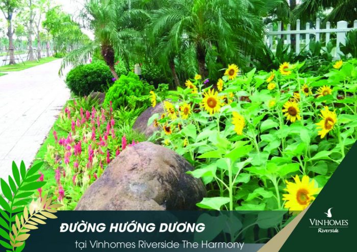 biet-thu-vinhomes-riverside-huong-duong-harmony