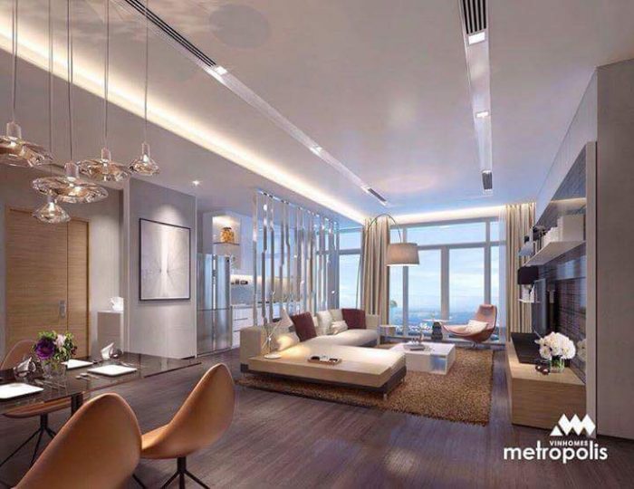can-ho-vinhomes-lieu-giai-hap-dan-gioi-thuong-luu