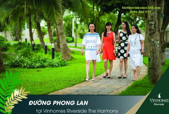 biet-thu-phong-lan-the-harmony-phong-cach-phap