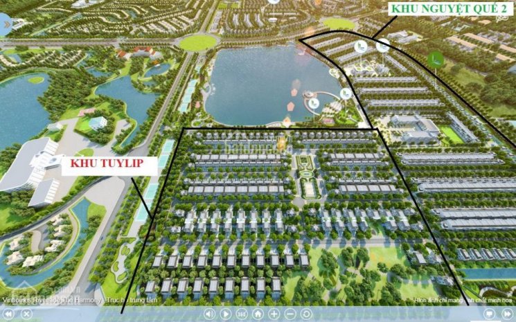 Biệt thự Tulip bên hồ: nơi cuộc sống thăng hoa