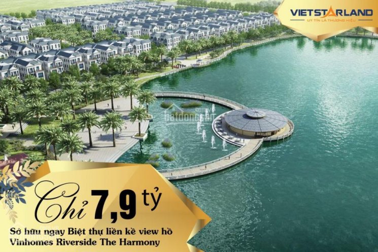 Liền kề Tulip VinhomesRiverside giai đoạn 2 chỉ 7,9 tỷ đồng.