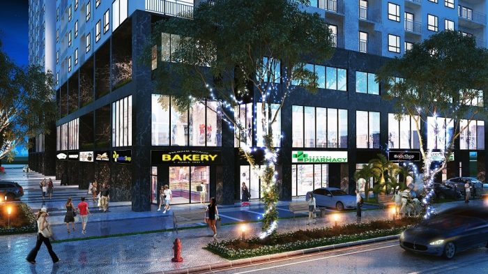 can-ho-shophouse-vincity-ocean-park-co-hoi-khong-the-bo-qua