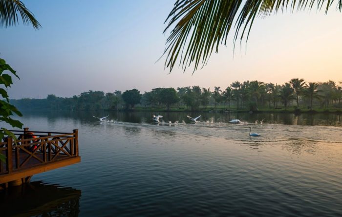 ecopark-thanh-pho-co-thiet-ke-canh-quan-dep-nhat-the-gioi