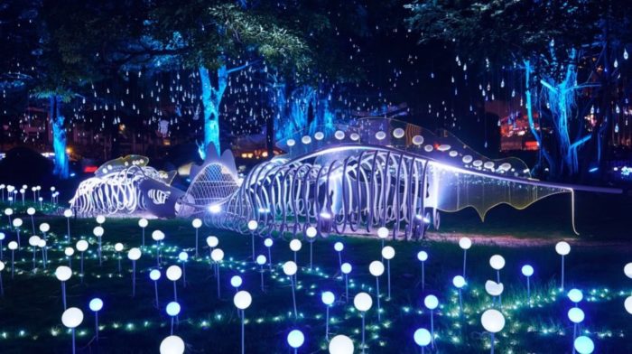 kham-pha-vuon-thuong-uyen-4000m2-tai-s3-sky-oasis-ecopark