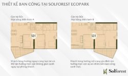 dewan-architects-don-vi-thiet-ke-chung-cu-sol-forest-ecopark
