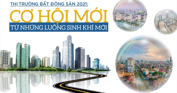 chuyen-gia-nhan-dinh-thi-truong-bds-2021